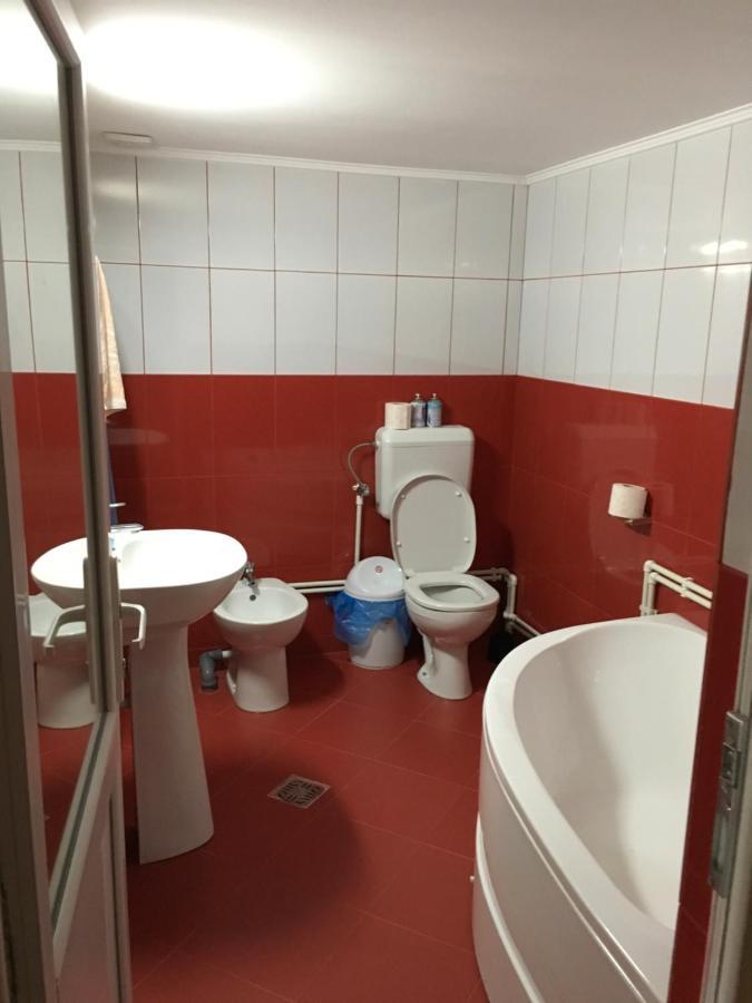 Casa Pelerinului Apartment Capatineni-Paminteni Екстериор снимка