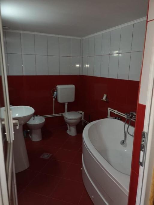 Casa Pelerinului Apartment Capatineni-Paminteni Екстериор снимка