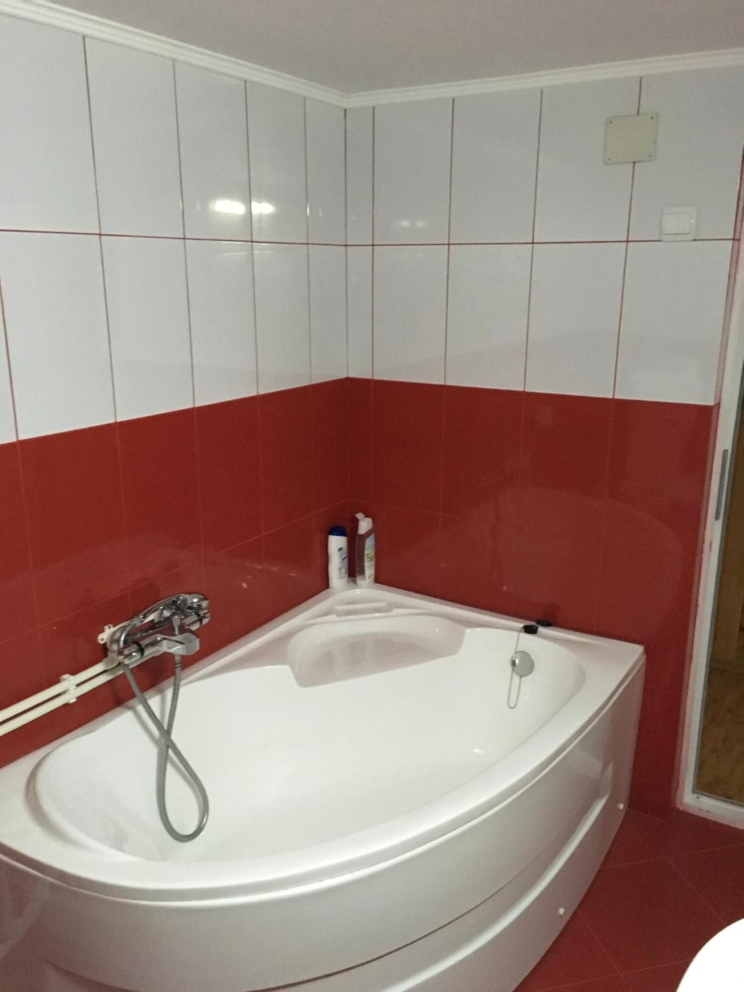 Casa Pelerinului Apartment Capatineni-Paminteni Екстериор снимка